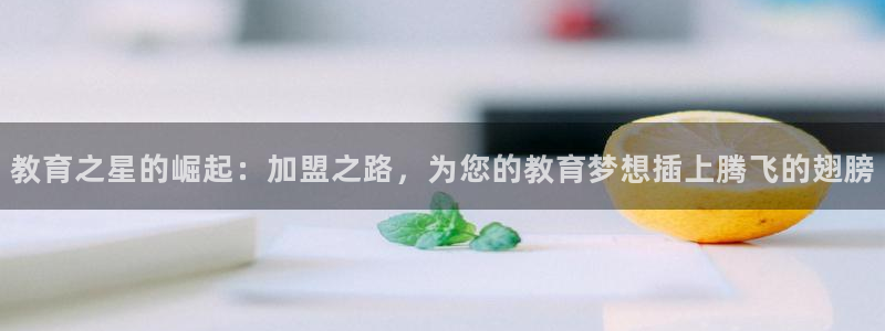 新航娱乐有限公司招聘：教育之星的崛起：加盟之路，为您的教育梦