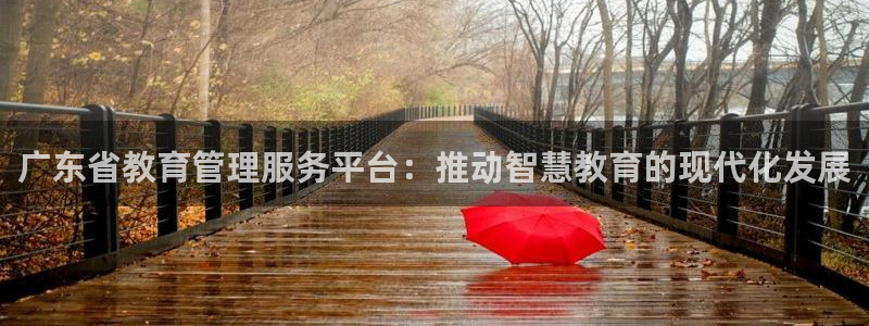新航娱乐直开怎么下载：广东省教育管理服务平台：推动智慧教育的