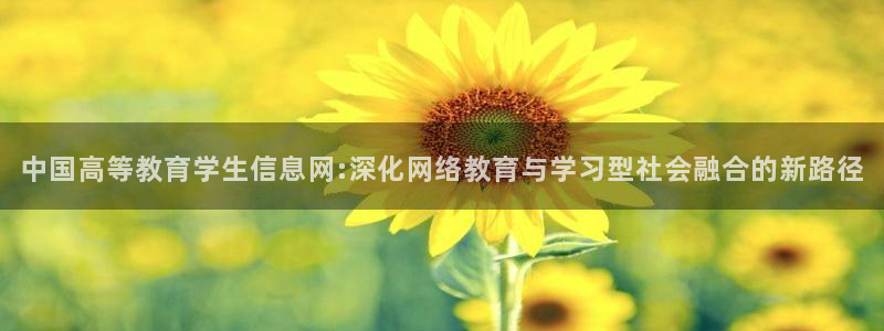 新航娱乐代理：中国高等教育学生信息网:深化网络教育与学习型社