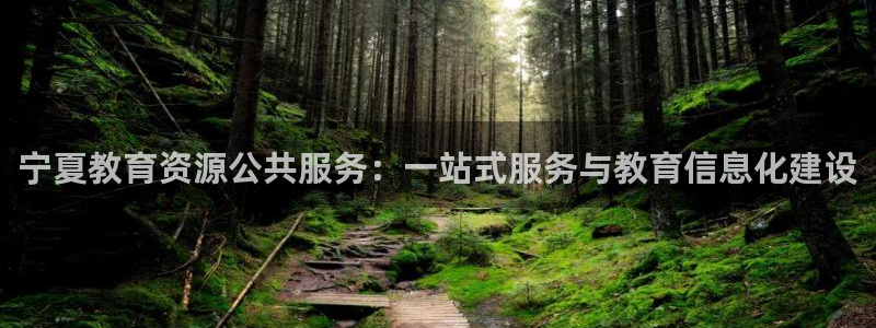 新航线娱乐会所：宁夏教育资源公共服务：一站式服务与教育信息化