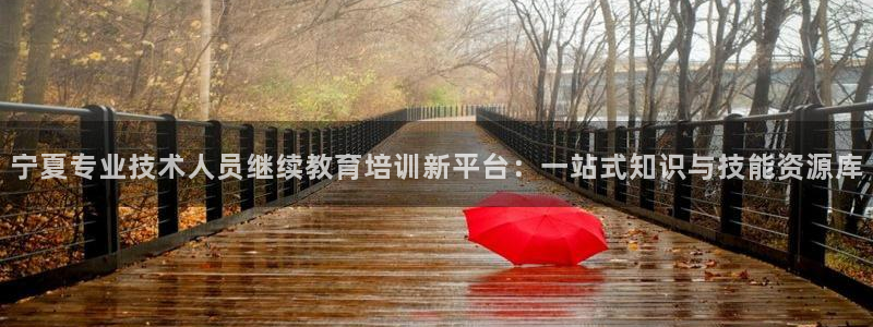 新航娱乐主管：宁夏专业技术人员继续教育培训新平台：一站式知识