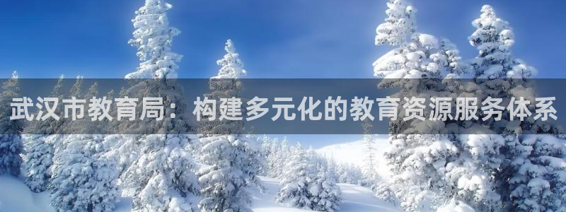 新航娱乐q：武汉市教育局：构建多元化的教育资源服务体系