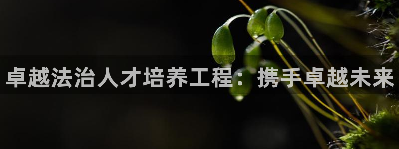 新航娱乐app下载