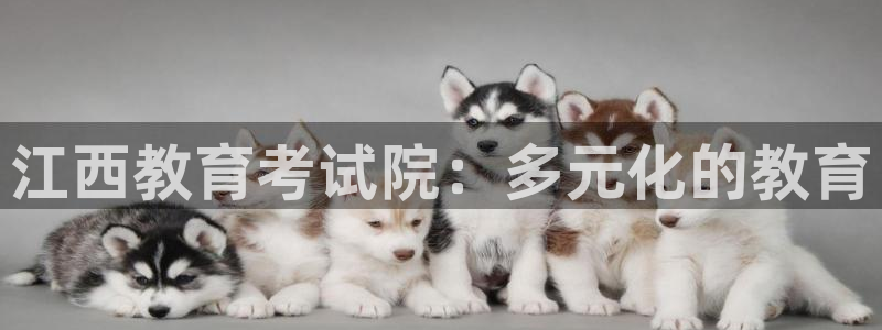 新航娱乐入网要求：江西教育考试院：多元化的教育