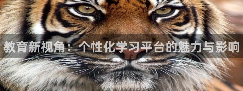 新航娱乐旗下艺人列表：教育新视角：个性化学习平台的魅力与影响