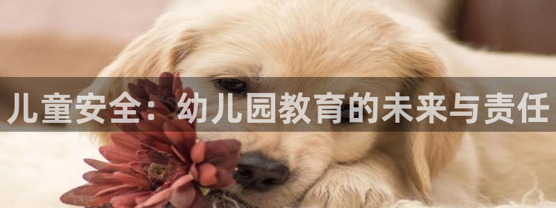 新航娱乐系统设置：儿童安全：幼儿园教育的未来与责任