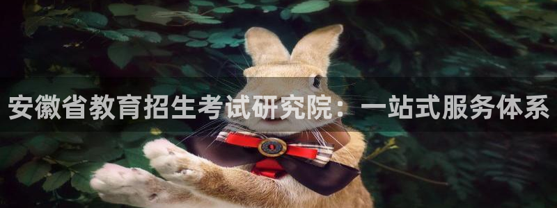 新航娱乐主管是谁