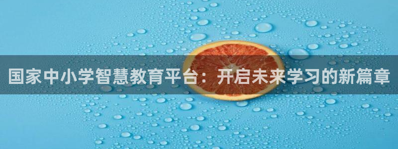 新航娱乐公司简介资料