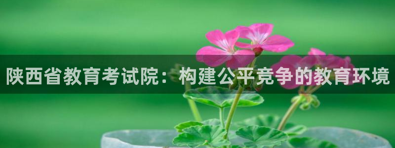 新航海娱乐会所地址