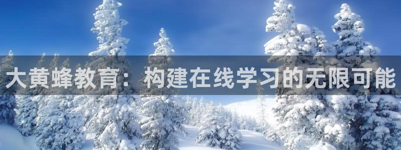 新航娱乐招商：大黄蜂教育：构建在线学习的无限可能