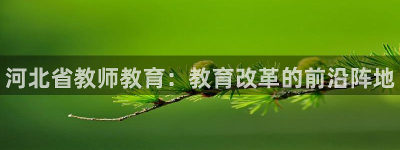 新航娱乐设施：河北省教师教育：教育改革的前沿阵地