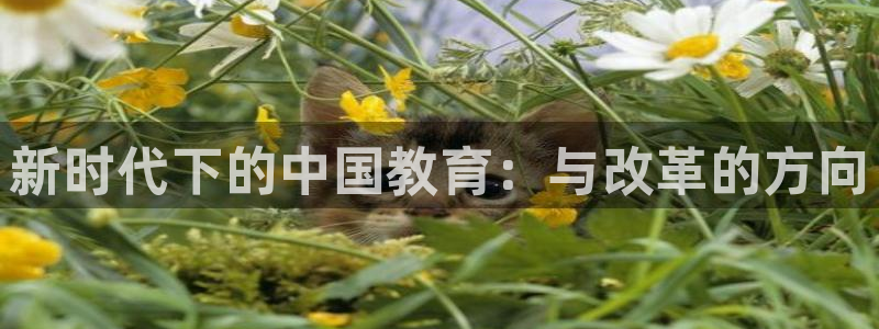 新航海娱乐会所怎么样：新时代下的中国教育：与改革的方向
