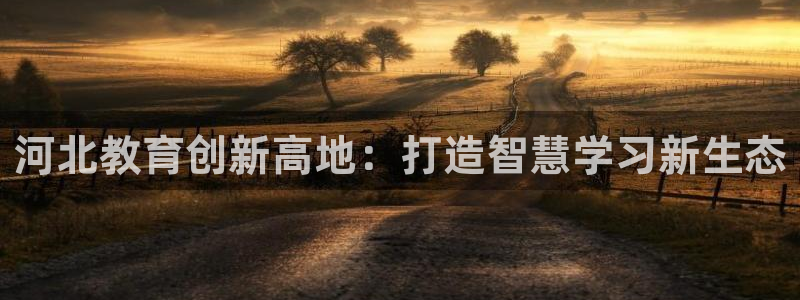 新航娱乐公司招聘电话：河北教育创新高地：打造智慧学习新生态