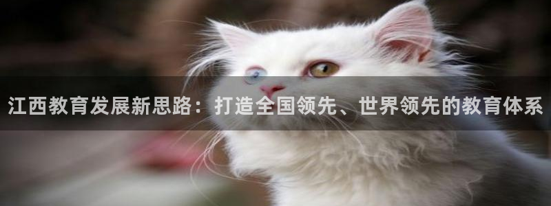新航娱乐娱乐官方网站：江西教育发展新思路：打造全国领先、世界