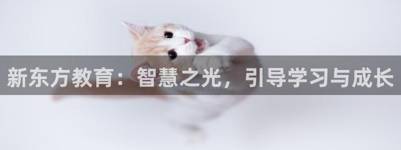 武汉中创新航娱乐室