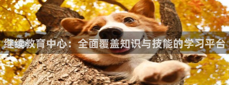 新航海娱乐会所地址电话